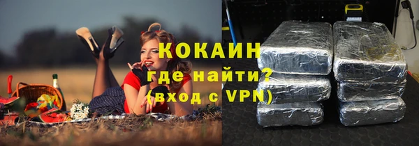 гидра Абаза