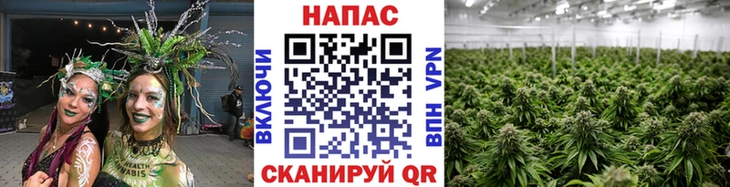 сколько стоит  блэк спрут ссылки  Марихуана THC 21%  Мензелинск 